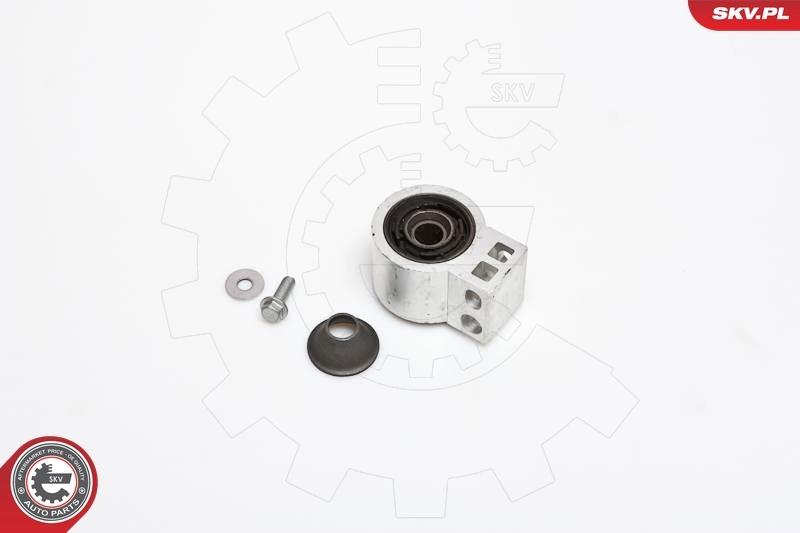 Mounting, control/trailing arm